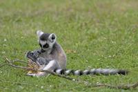 Cjp_2011_08_02_132630 (2).jpg